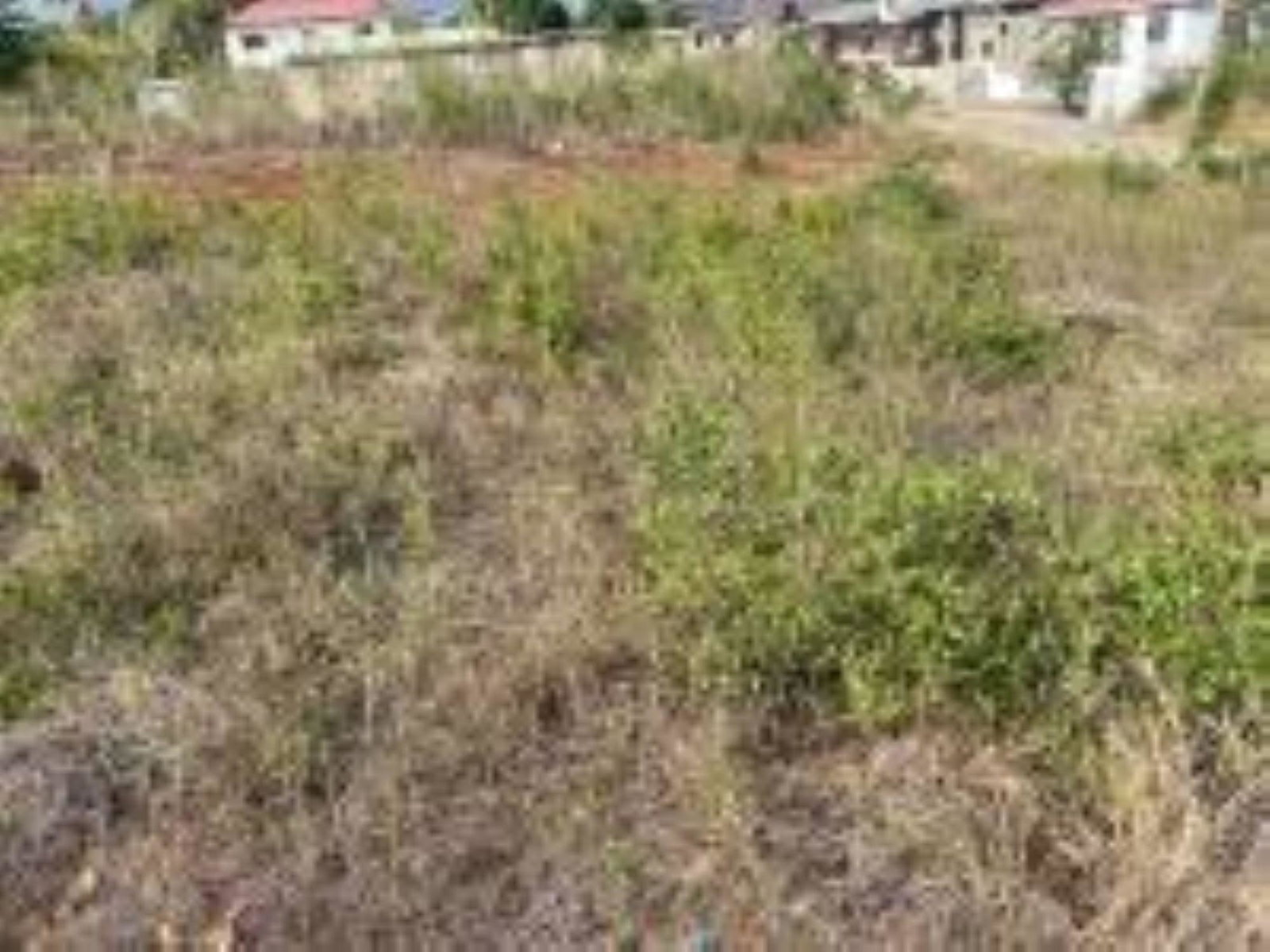 Third image of 72a Green Acres in Green Acres, St. Catherine, Jamaica - property is For Sale