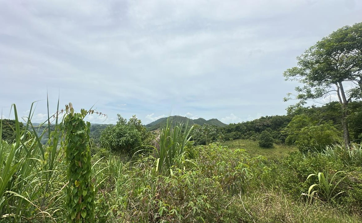 Second image of Land Part of Ludlow in Crofts Hill, Clarendon, Jamaica - property is For Sale