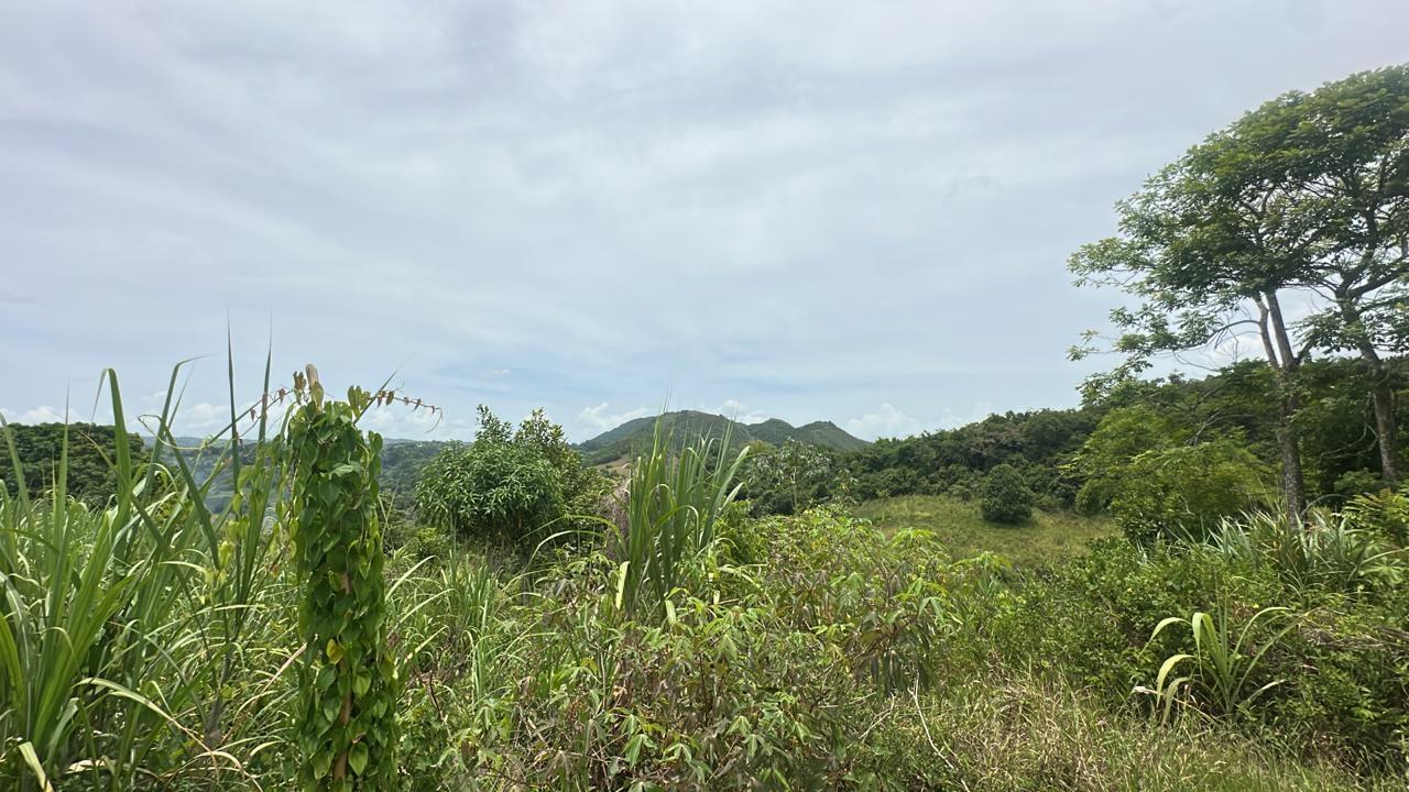 Second image of Land Part of Ludlow in Crofts Hill, Clarendon, Jamaica - property is For Sale