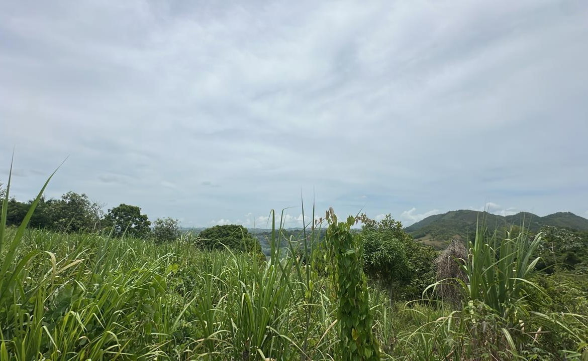 Third image of Land Part of Ludlow in Crofts Hill, Clarendon, Jamaica - property is For Sale