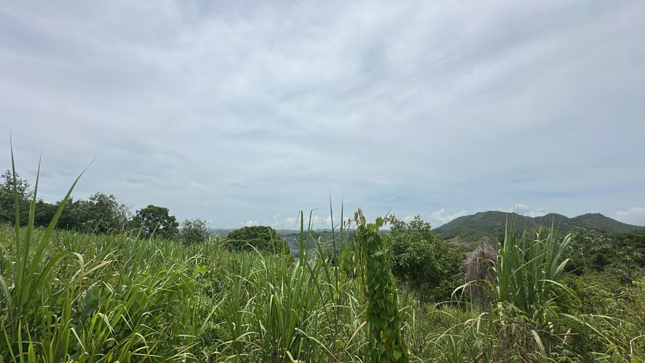 Third image of Land Part of Ludlow in Crofts Hill, Clarendon, Jamaica - property is For Sale