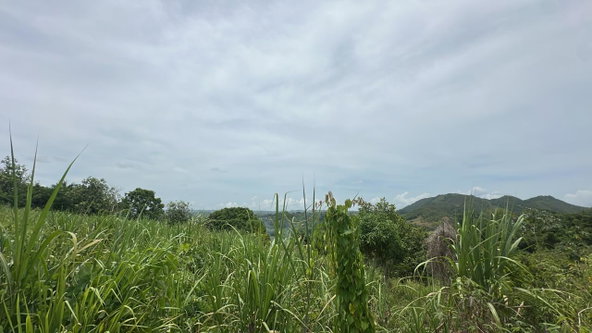Third image of Land Part of Ludlow in Crofts Hill, Clarendon, Jamaica - property is For Sale
