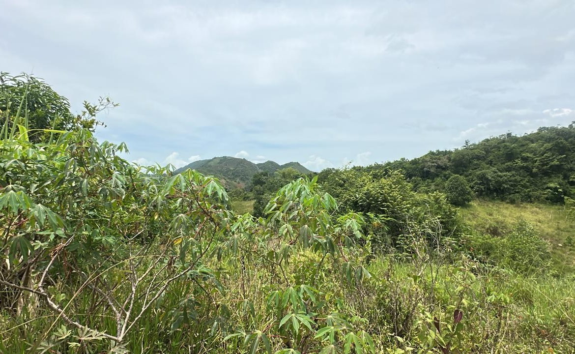 Fourth image of Land Part of Ludlow in Crofts Hill, Clarendon, Jamaica - property is For Sale