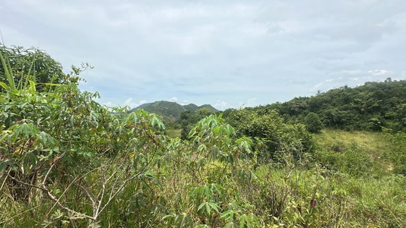Fourth image of Land Part of Ludlow in Crofts Hill, Clarendon, Jamaica - property is For Sale