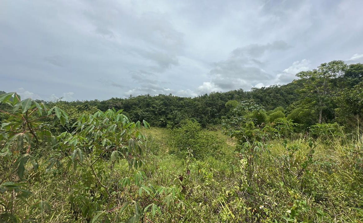 Fifth image of Land Part of Ludlow in Crofts Hill, Clarendon, Jamaica - property is For Sale