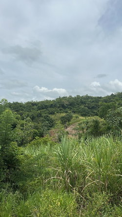 Ninth image of Land Part of Ludlow in Crofts Hill, Clarendon, Jamaica - property is For Sale