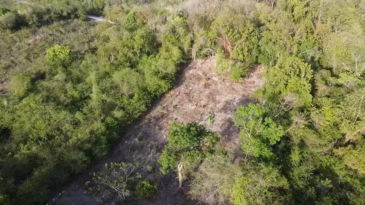 Third image of 412 Duncans Bay in DUNCAN BAY, Trelawny, Jamaica - property is For Sale