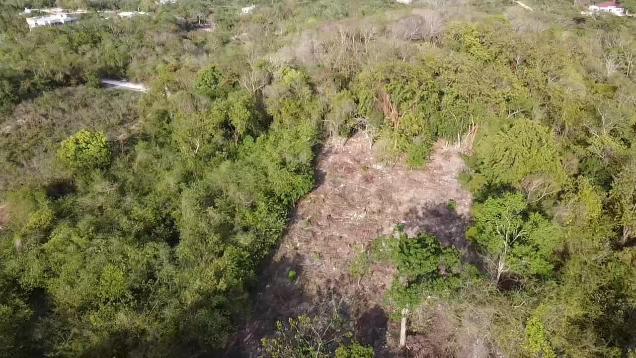 Sixth image of 412 Duncans Bay in DUNCAN BAY, Trelawny, Jamaica - property is For Sale