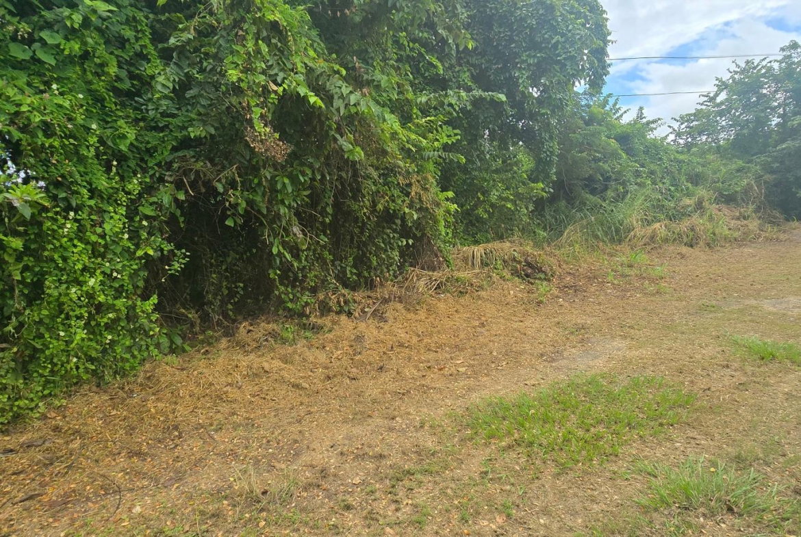 Second image of Lot 84 Duncans Bay The Cockpit in DUNCAN BAY, Trelawny, Jamaica - property is For Sale