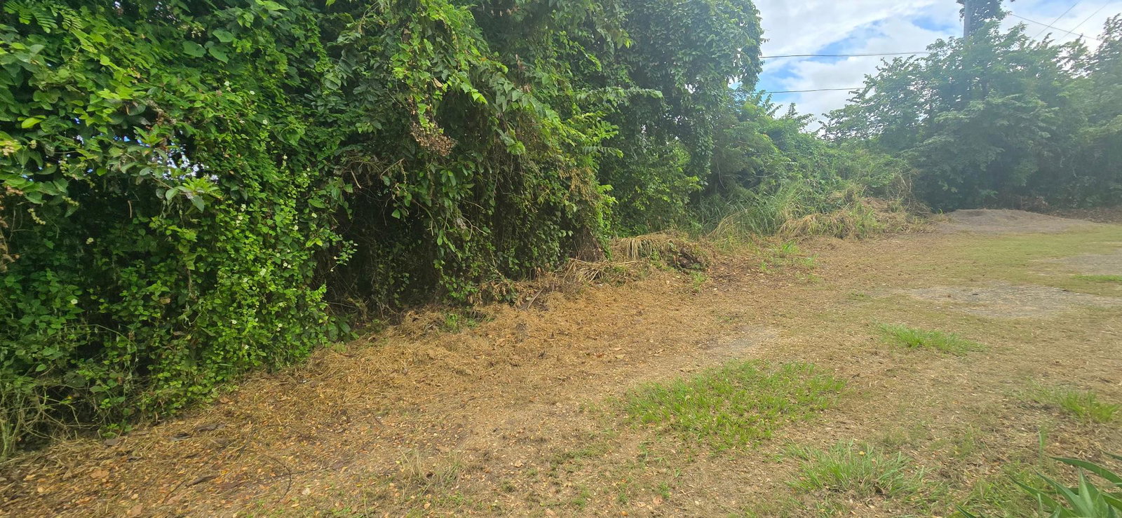 Second image of Lot 84 Duncans Bay The Cockpit in DUNCAN BAY, Trelawny, Jamaica - property is For Sale