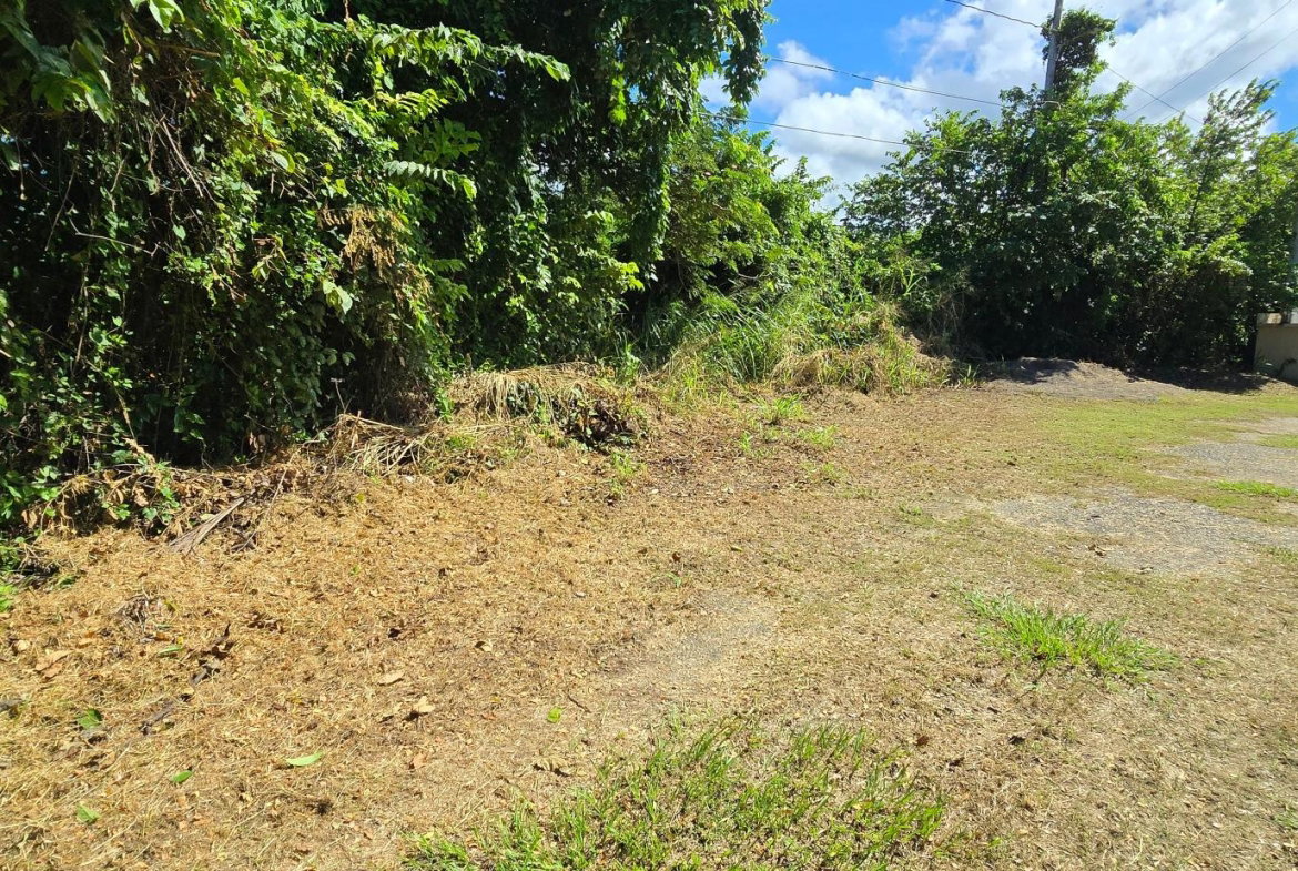 First image of Lot 84 Duncans Bay The Cockpit in DUNCAN BAY, Trelawny, Jamaica - property is For Sale