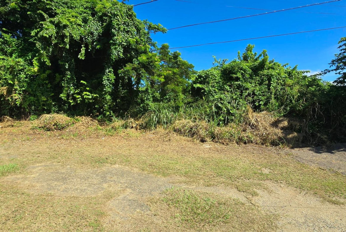 Third image of Lot 84 Duncans Bay The Cockpit in DUNCAN BAY, Trelawny, Jamaica - property is For Sale