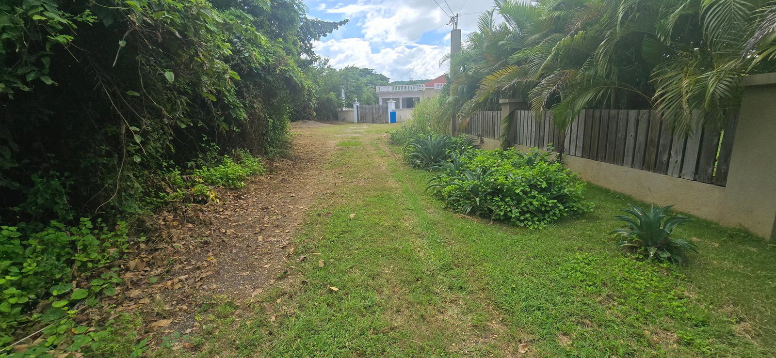 Fourth image of Lot 84 Duncans Bay The Cockpit in DUNCAN BAY, Trelawny, Jamaica - property is For Sale