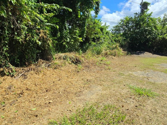First image of Lot 84 Duncans Bay The Cockpit in DUNCAN BAY, Trelawny, Jamaica - property is For Sale