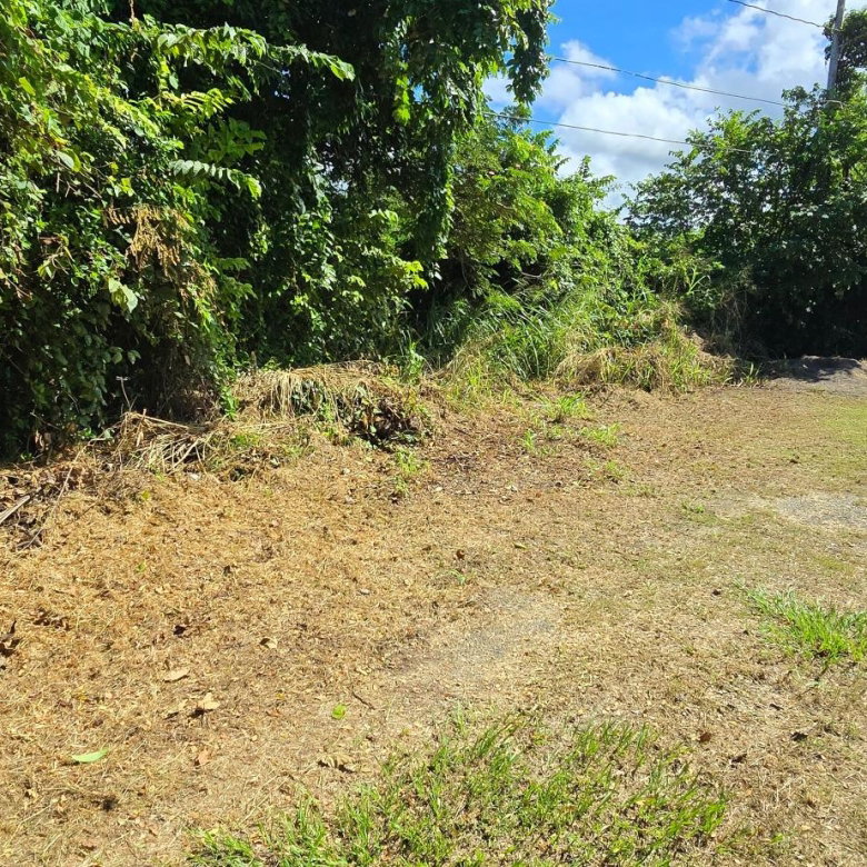 First image of Lot 84 Duncans Bay The Cockpit in DUNCAN BAY, Trelawny, Jamaica - property is For Sale