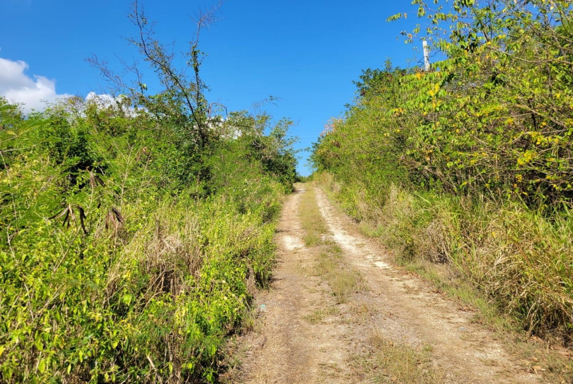 Eleventh image of 24 Greenside, Falmouth, Trel in Greenside, Trelawny, Jamaica - property is For Sale