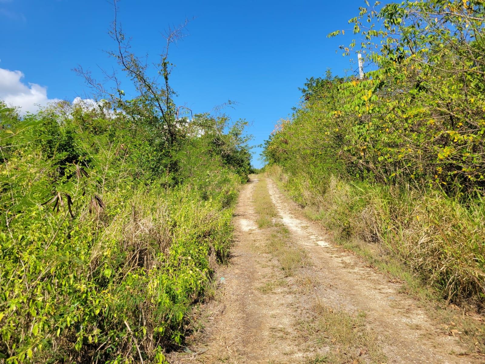 Eleventh image of 24 Greenside, Falmouth, Trel in Greenside, Trelawny, Jamaica - property is For Sale