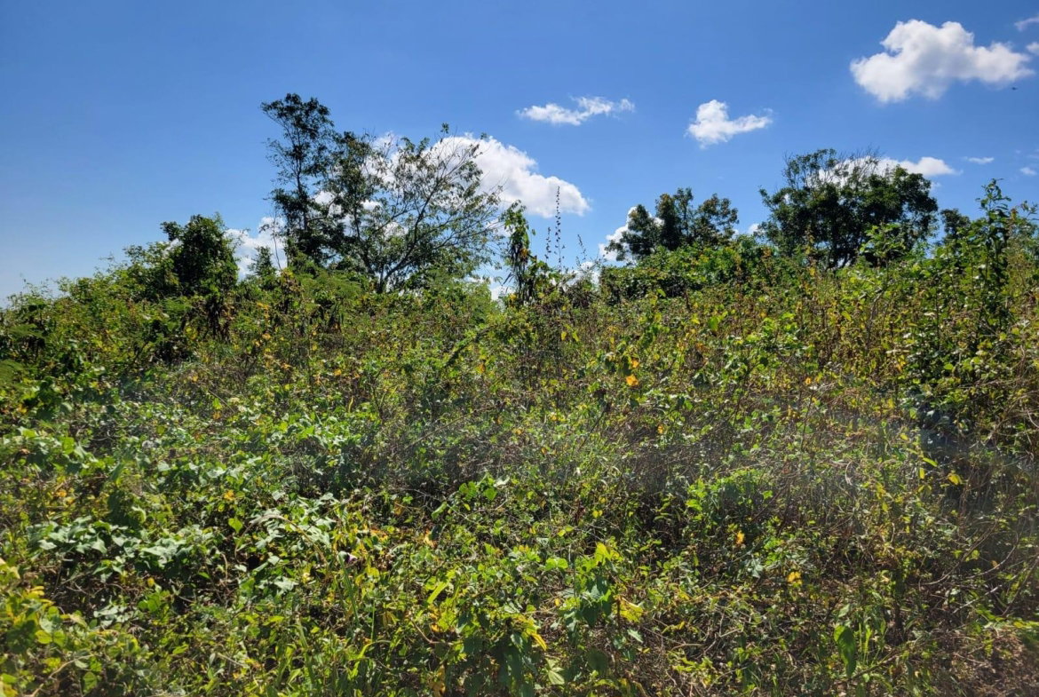 Fourth image of 24 Greenside, Falmouth, Trel in Greenside, Trelawny, Jamaica - property is For Sale