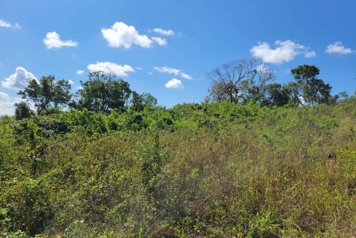 Fifth image of 24 Greenside, Falmouth, Trel in Greenside, Trelawny, Jamaica - property is For Sale