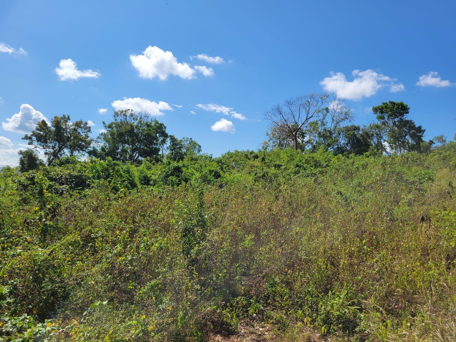 Fifth image of 24 Greenside, Falmouth, Trel in Greenside, Trelawny, Jamaica - property is For Sale