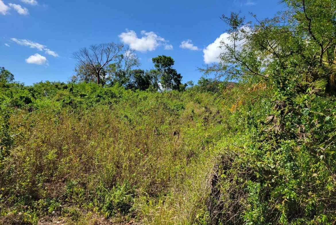 Sixth image of 24 Greenside, Falmouth, Trel in Greenside, Trelawny, Jamaica - property is For Sale