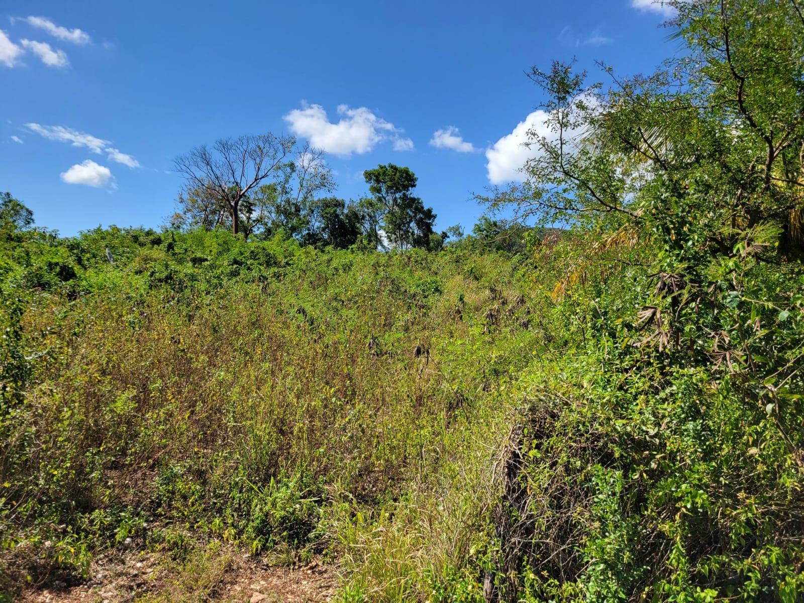 Sixth image of 24 Greenside, Falmouth, Trel in Greenside, Trelawny, Jamaica - property is For Sale