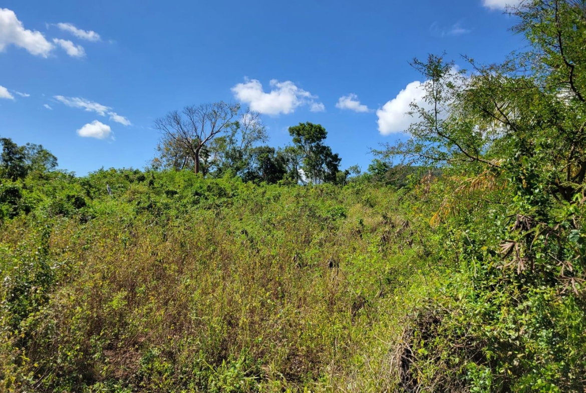 Seventh image of 24 Greenside, Falmouth, Trel in Greenside, Trelawny, Jamaica - property is For Sale