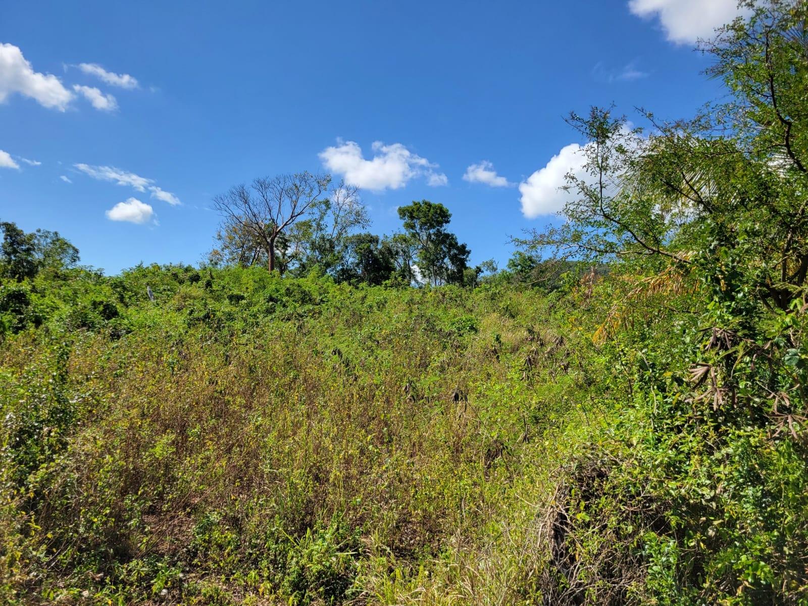 Seventh image of 24 Greenside, Falmouth, Trel in Greenside, Trelawny, Jamaica - property is For Sale