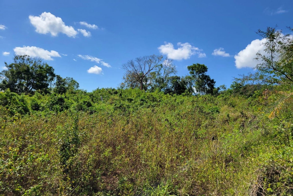 Eighth image of 24 Greenside, Falmouth, Trel in Greenside, Trelawny, Jamaica - property is For Sale