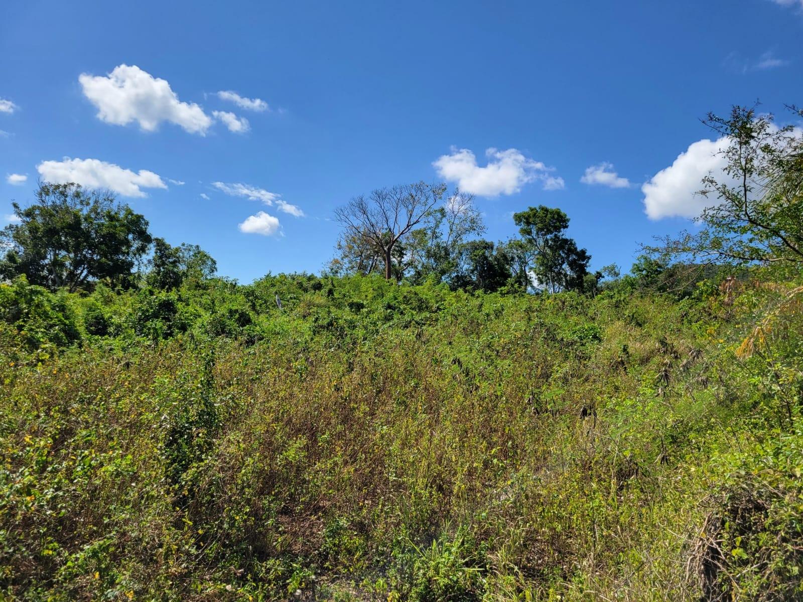 Eighth image of 24 Greenside, Falmouth, Trel in Greenside, Trelawny, Jamaica - property is For Sale