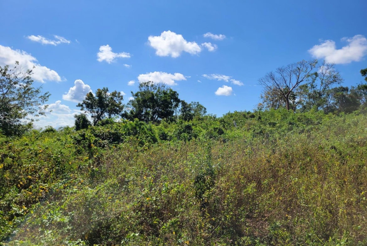 Ninth image of 24 Greenside, Falmouth, Trel in Greenside, Trelawny, Jamaica - property is For Sale