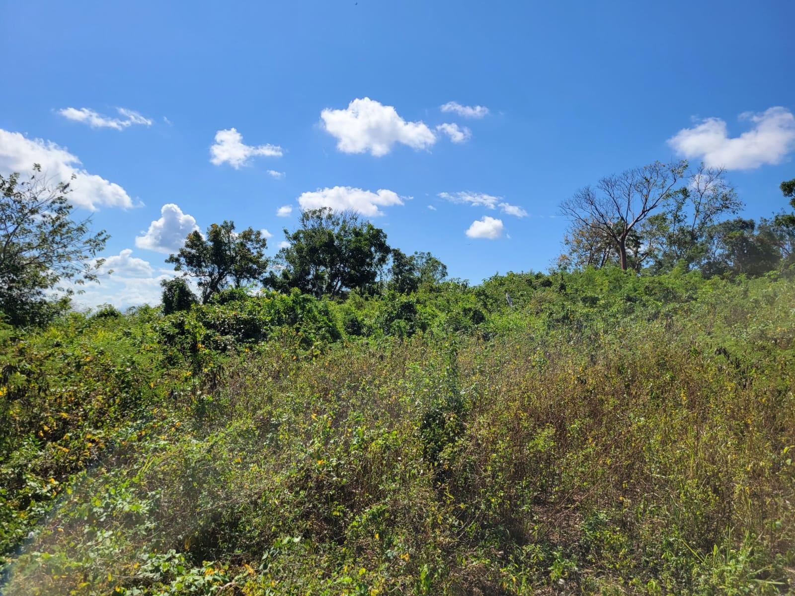 Ninth image of 24 Greenside, Falmouth, Trel in Greenside, Trelawny, Jamaica - property is For Sale