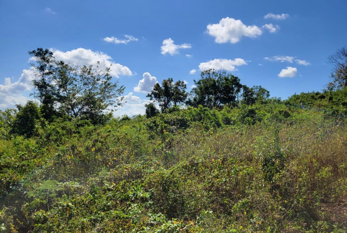 Tenth image of 24 Greenside, Falmouth, Trel in Greenside, Trelawny, Jamaica - property is For Sale