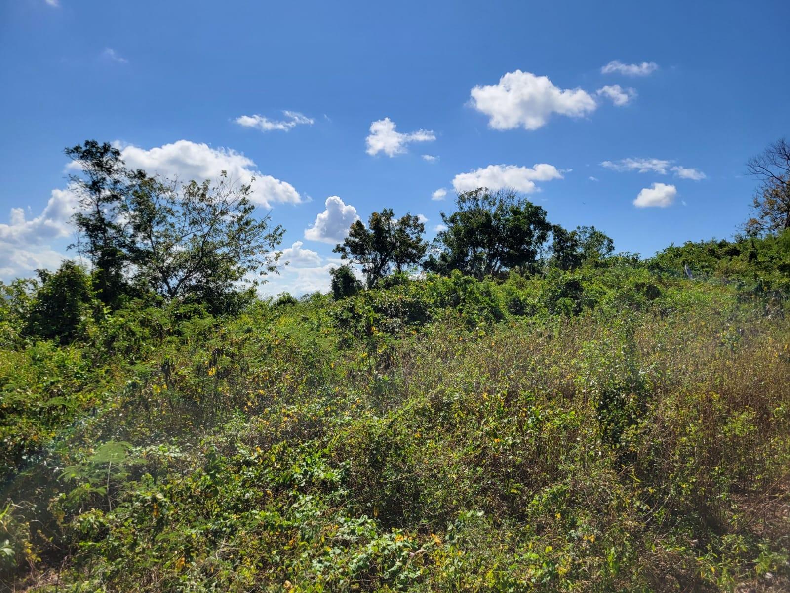 Tenth image of 24 Greenside, Falmouth, Trel in Greenside, Trelawny, Jamaica - property is For Sale