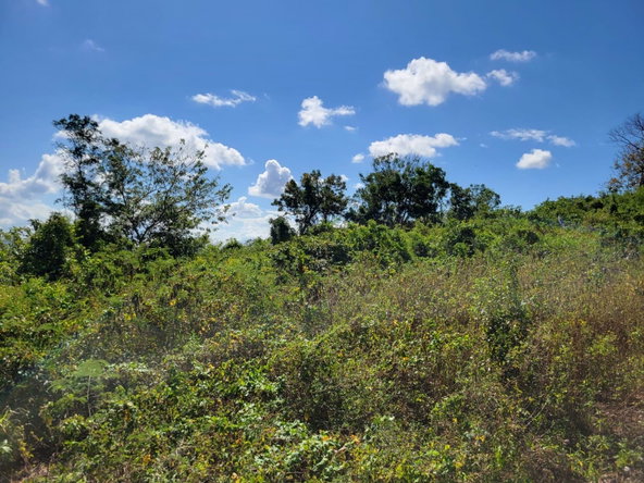 Tenth image of 24 Greenside, Falmouth, Trel in Greenside, Trelawny, Jamaica - property is For Sale