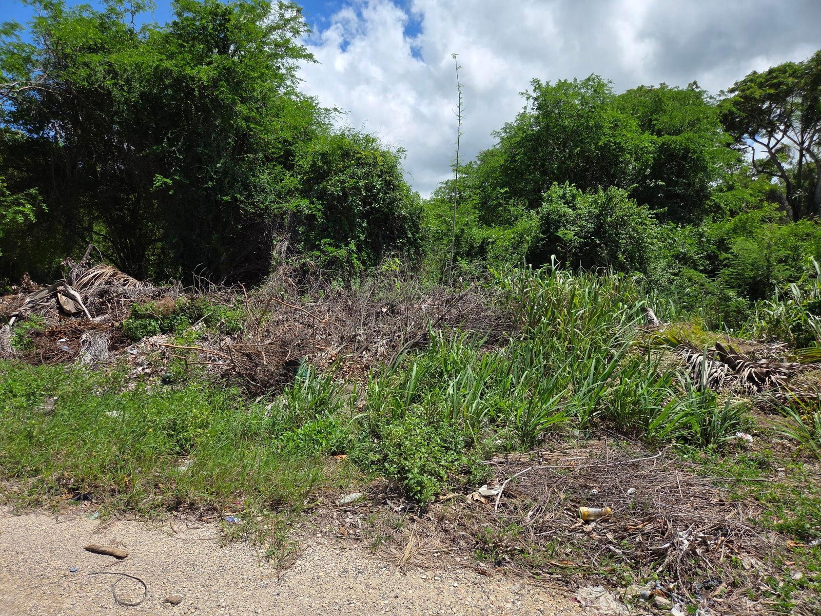Third image of 24 Salem Cres, Runaway Bay in Beverley, St. Ann, Jamaica - property is For Sale