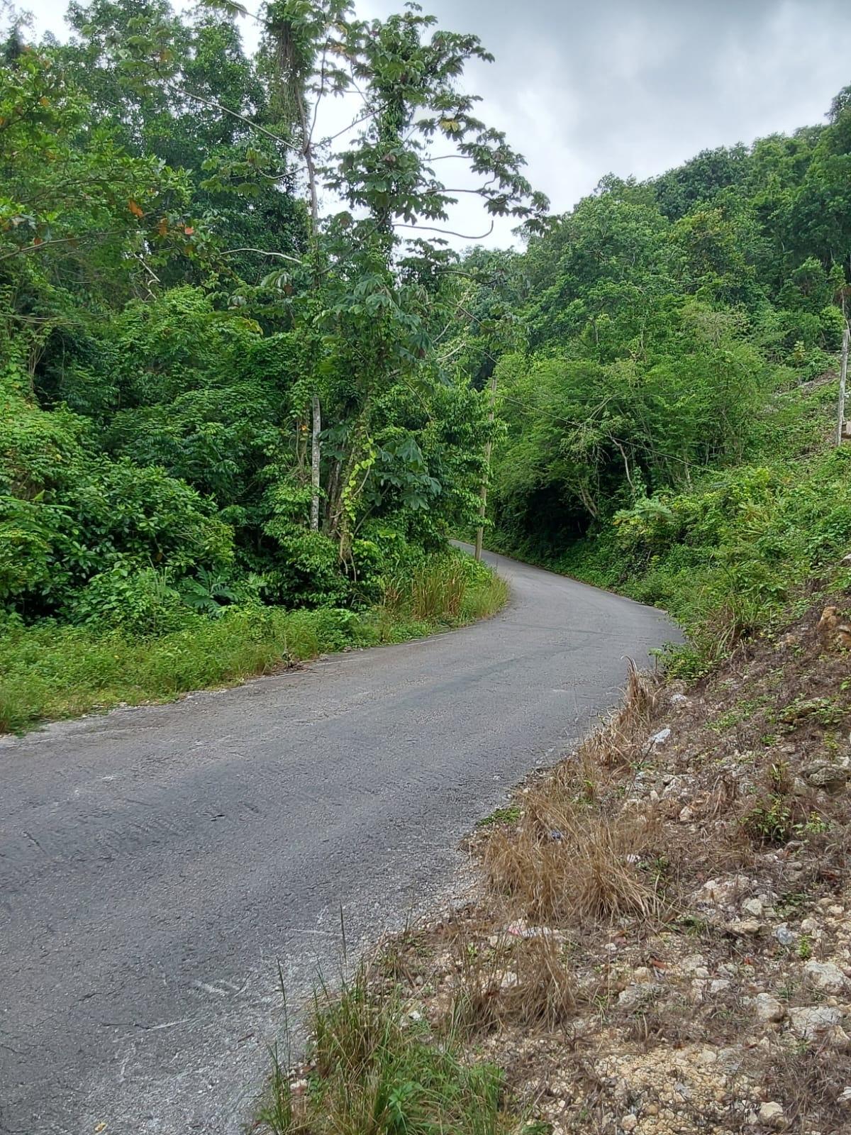 Fourth image of Lot 2- Ramble Hill in Bogue, St. James, Jamaica - property is For Sale