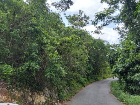 First image of Lot 2- Ramble Hill in Bogue, St. James, Jamaica - property is For Sale