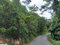 First image of Lot 2- Ramble Hill in Bogue, St. James, Jamaica - property is For Sale