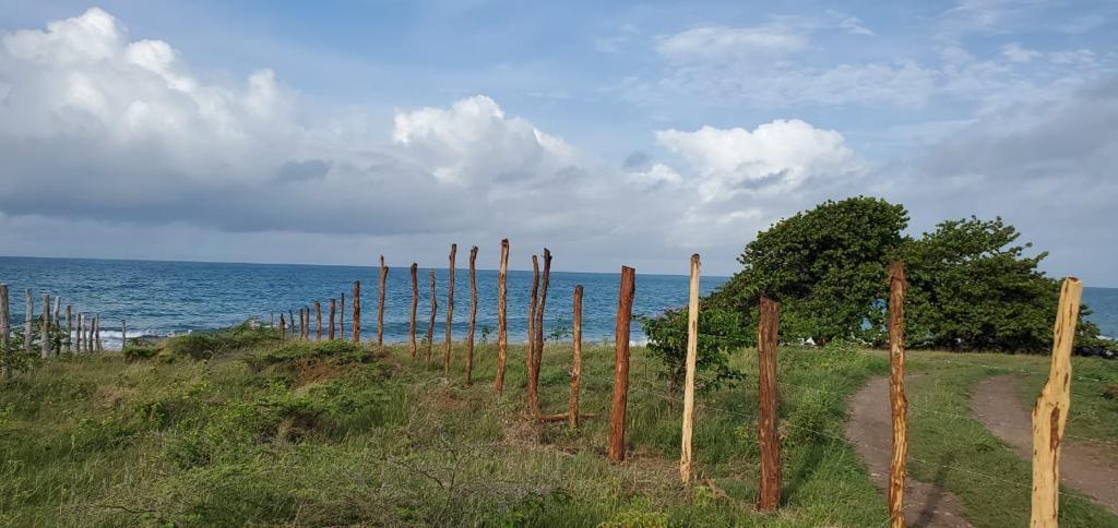 Second image of 1 Billys Bay District in Treasure Beach, St. Elizabeth, Jamaica - property is For Sale