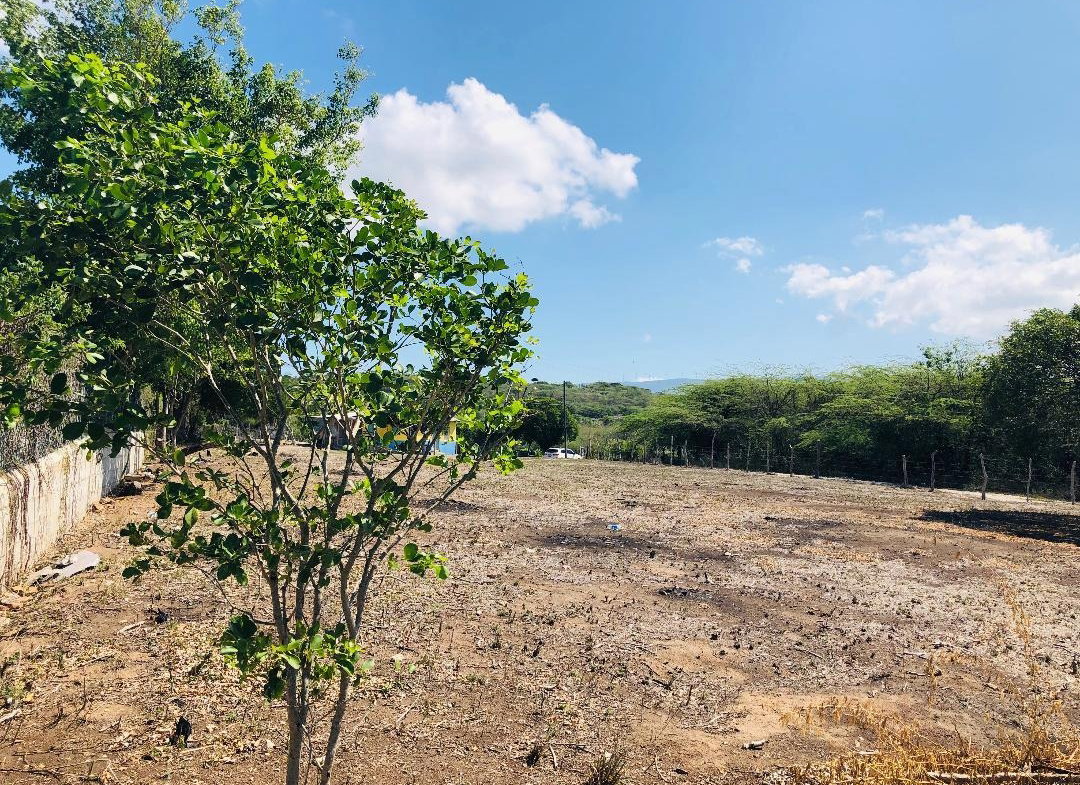 Sixth image of 1 Billys Bay District in Treasure Beach, St. Elizabeth, Jamaica - property is For Sale