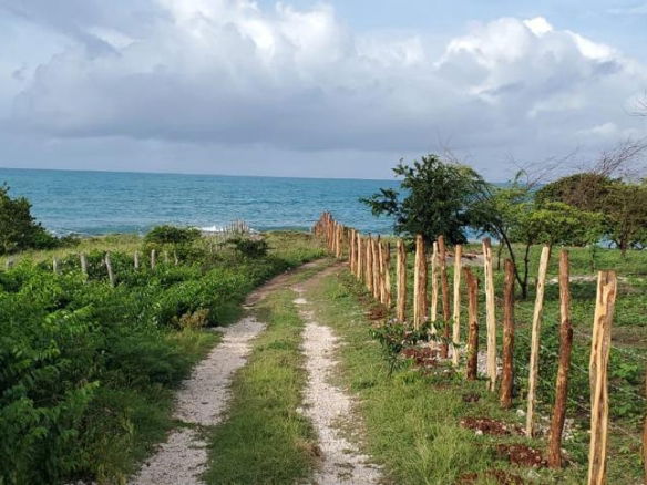 First image of 1 Billys Bay District in Treasure Beach, St. Elizabeth, Jamaica - property is For Sale