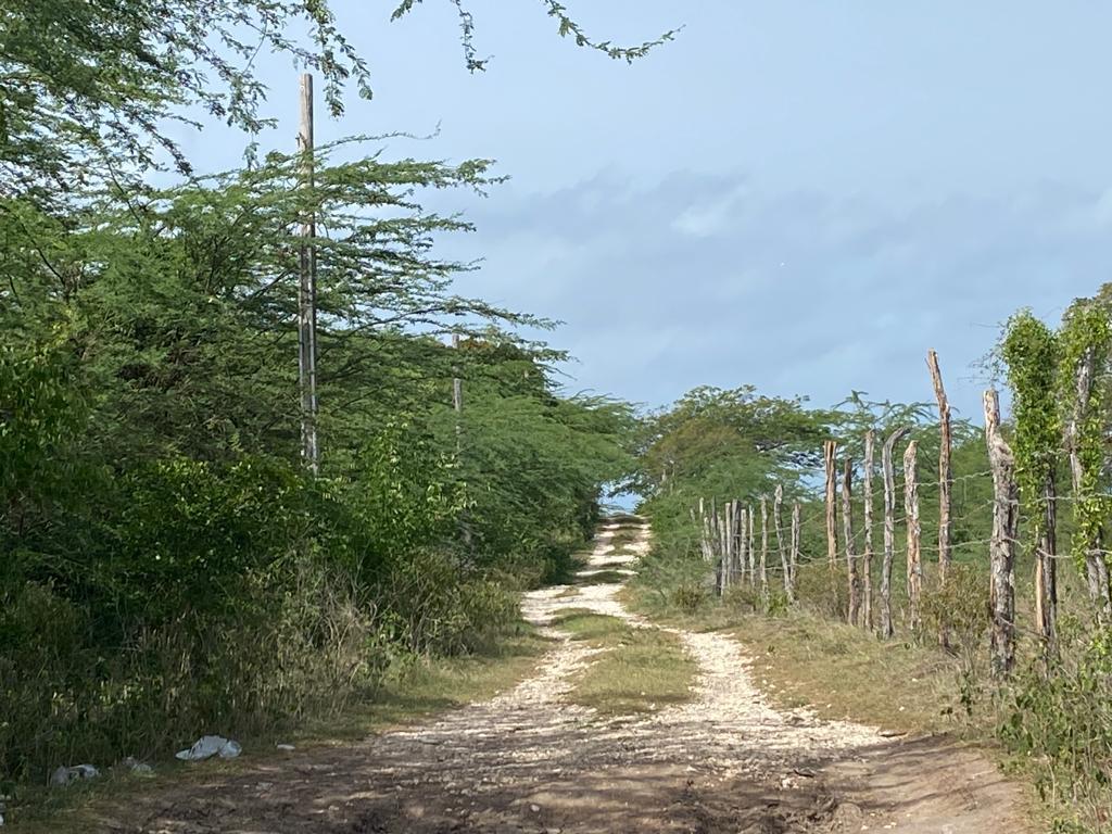 Eighth image of 1 Billys Bay District in Treasure Beach, St. Elizabeth, Jamaica - property is For Sale