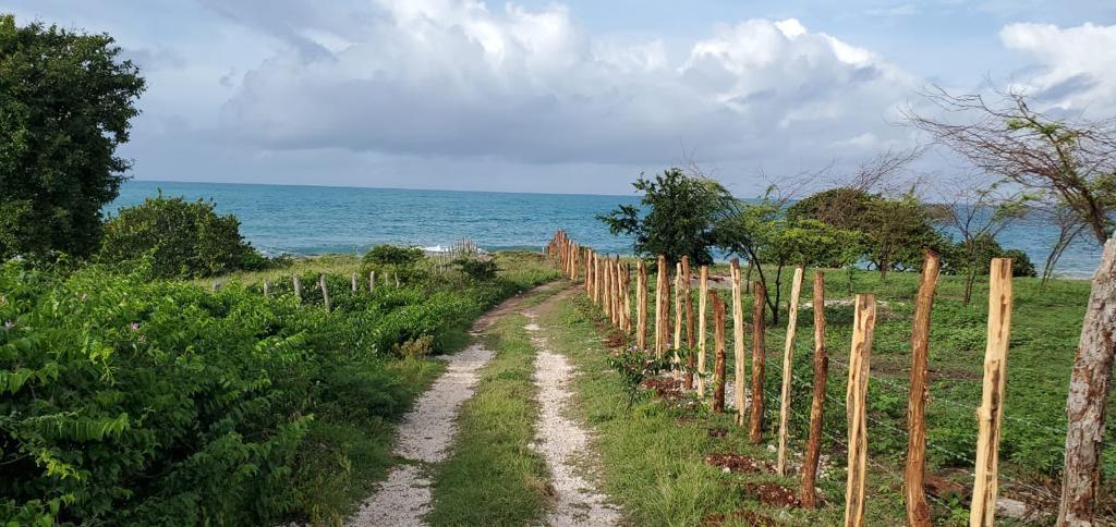 First image of 1 Billys Bay District in Treasure Beach, St. Elizabeth, Jamaica - property is For Sale