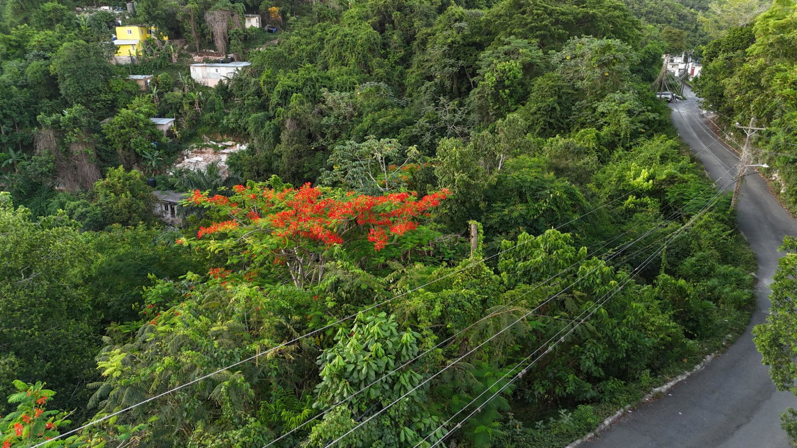 Second image of Part Of- Burnside Mountain in Red Hills, St. Andrew, Jamaica - property is For Sale