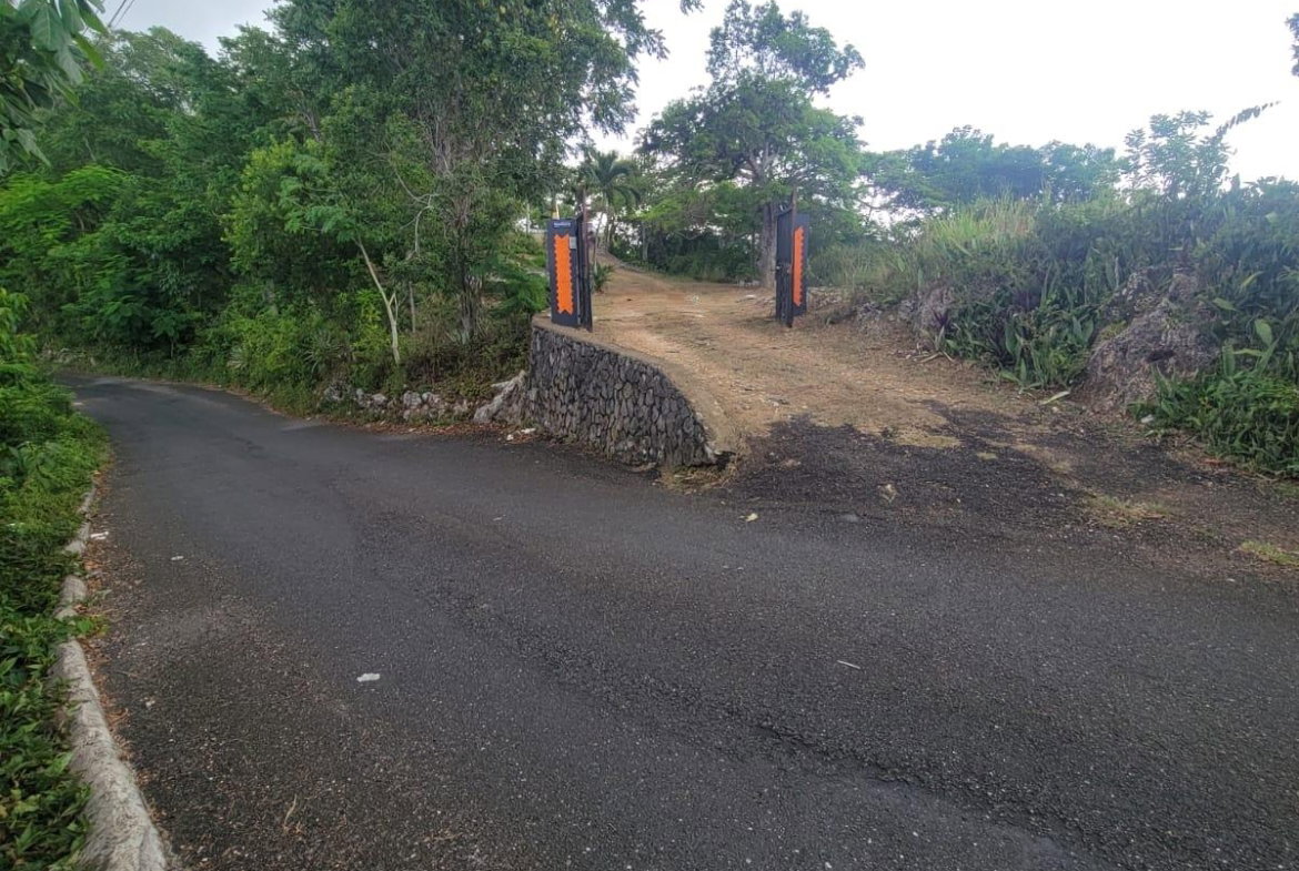 Eleventh image of Part Of- Burnside Mountain in Red Hills, St. Andrew, Jamaica - property is For Sale