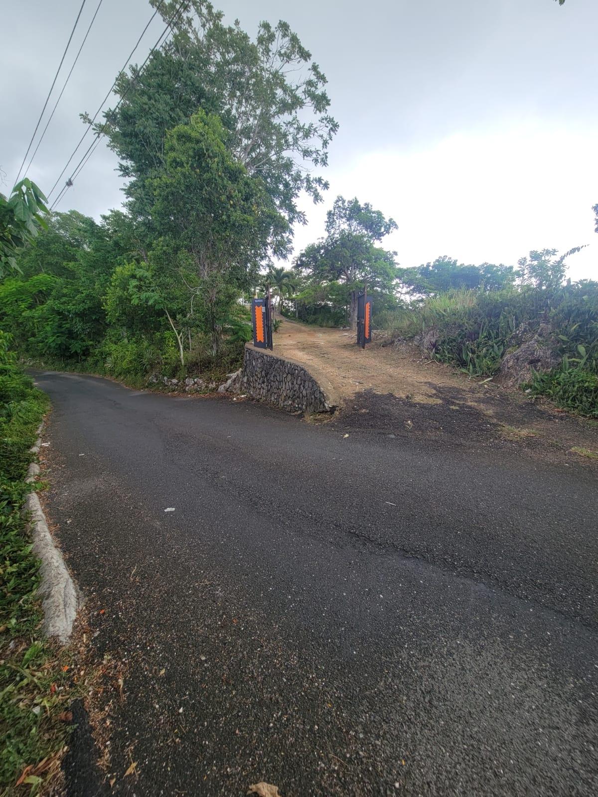 Eleventh image of Part Of- Burnside Mountain in Red Hills, St. Andrew, Jamaica - property is For Sale