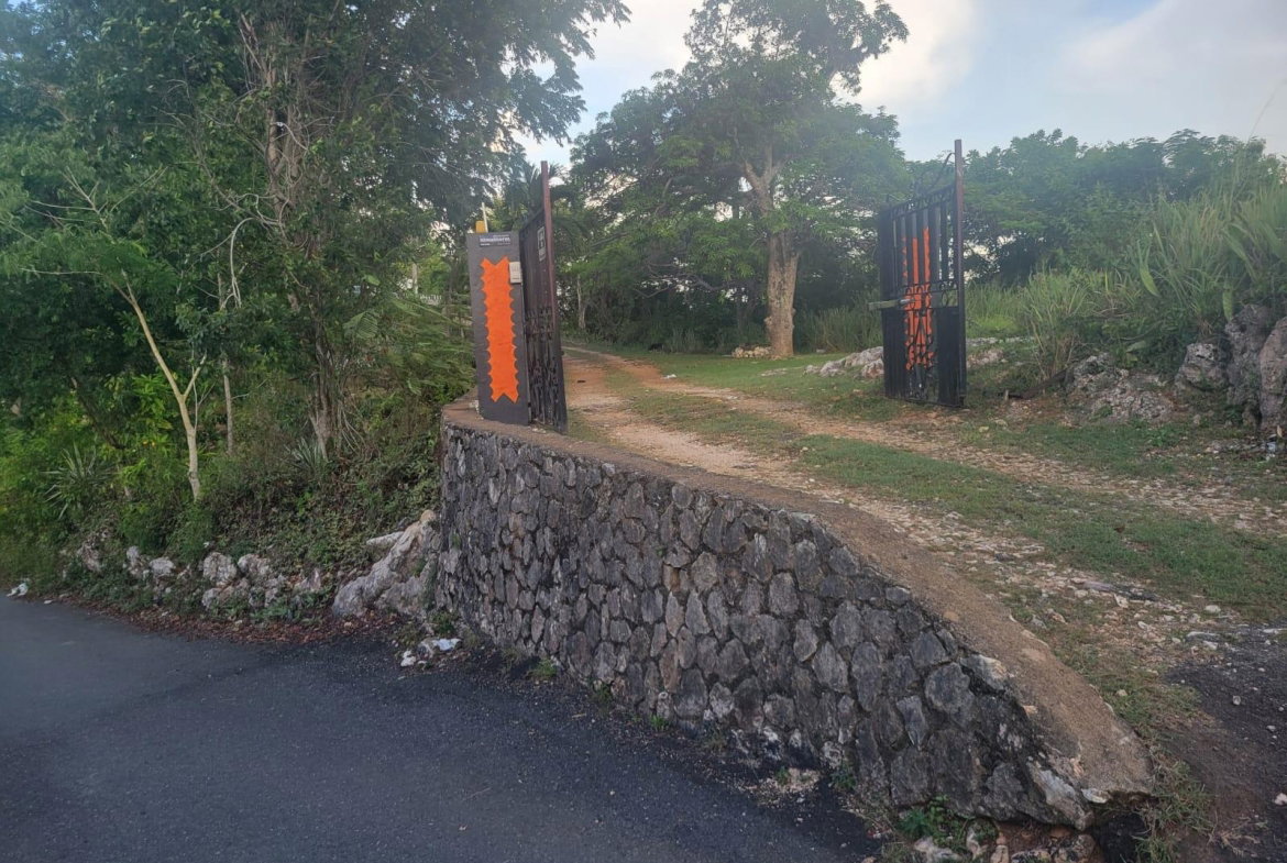 Twelfth image of Part Of- Burnside Mountain in Red Hills, St. Andrew, Jamaica - property is For Sale