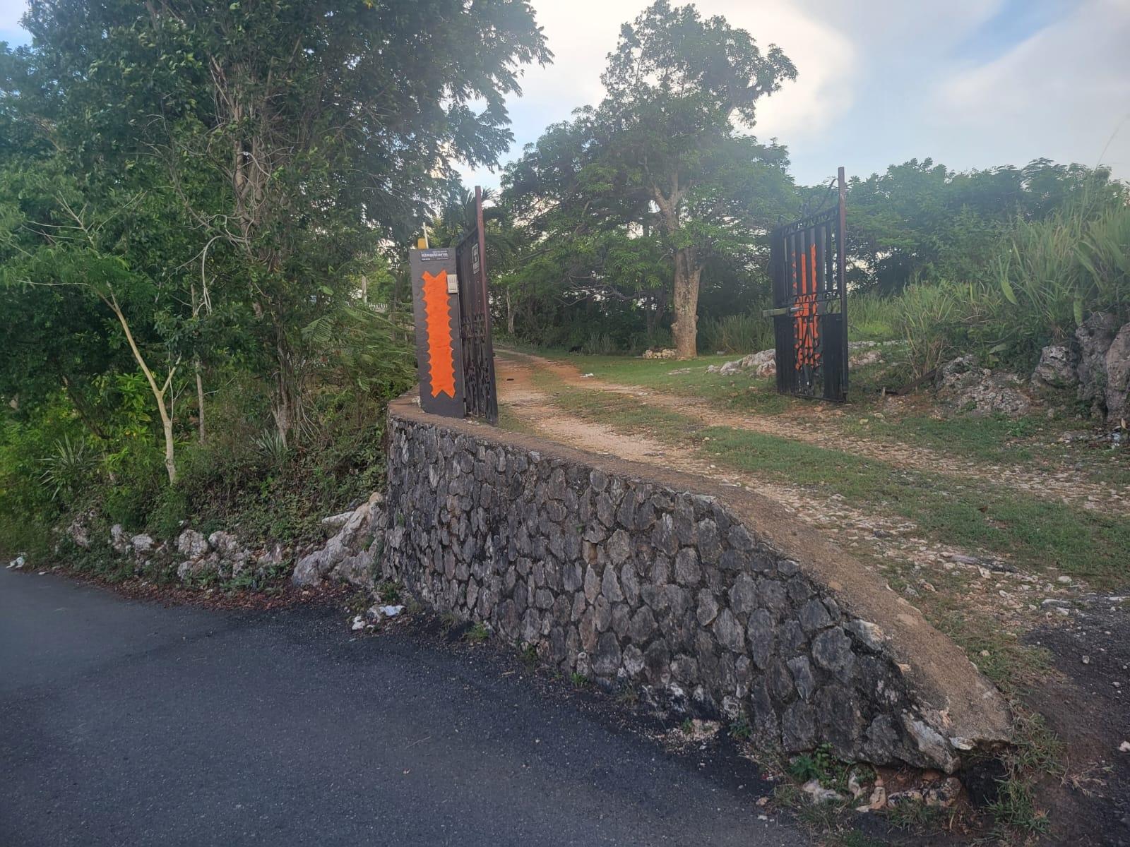 Twelfth image of Part Of- Burnside Mountain in Red Hills, St. Andrew, Jamaica - property is For Sale
