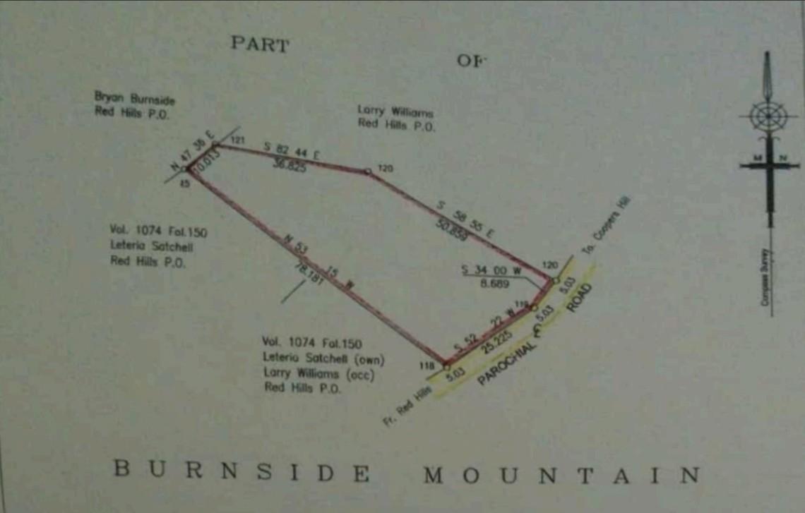 Fifteenth image of Part Of- Burnside Mountain in Red Hills, St. Andrew, Jamaica - property is For Sale